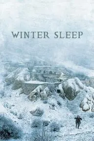 Winter Sleep_peliplat