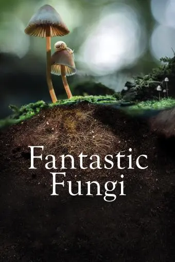 Fantastic Fungi_peliplat