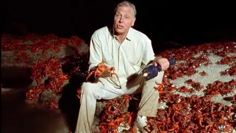 One Hundred Million Crabs | The Trials of Life | BBC Earth