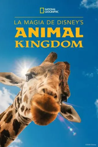 La magia de Animal Kingdom de Disney_peliplat