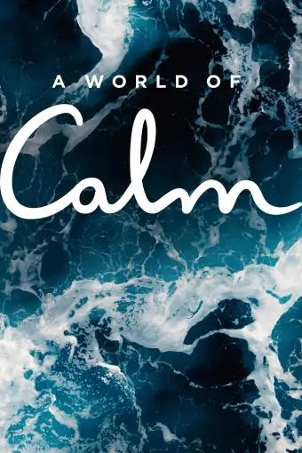A World of Calm_peliplat