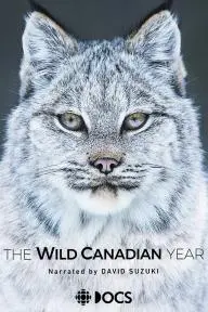 The Wild Canadian Year_peliplat