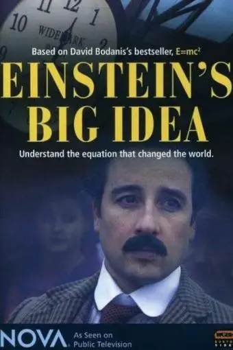 Einstein's Big Idea_peliplat