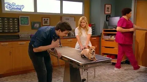 I Didn't Do It | The Checkup 🐾 | Disney Channel UK