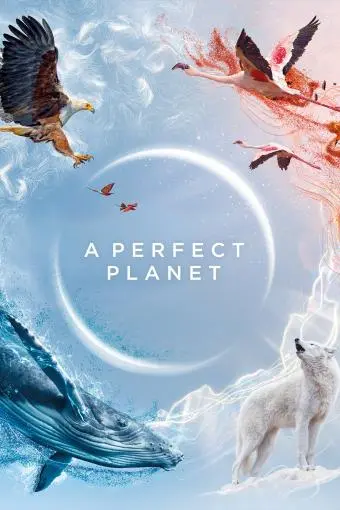 A Perfect Planet_peliplat