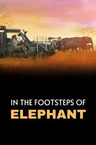 In the Footsteps of Elephant_peliplat