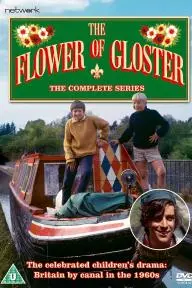 The Flower of Gloster_peliplat