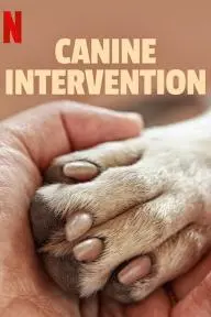 Canine Intervention_peliplat