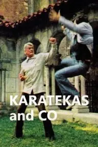 Karatekas and co_peliplat