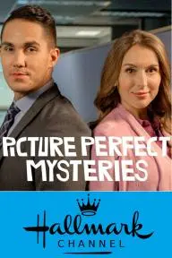 Picture Perfect Mysteries_peliplat