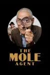 The Mole Agent_peliplat