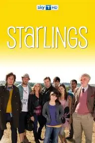 Starlings_peliplat