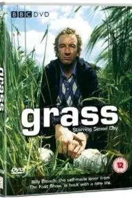 Grass_peliplat