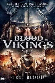 Blood of the Vikings_peliplat