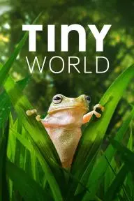 Tiny World_peliplat