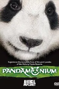 Pandamonium_peliplat
