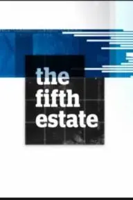 The Fifth Estate_peliplat