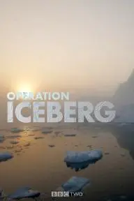 Operation Iceberg_peliplat