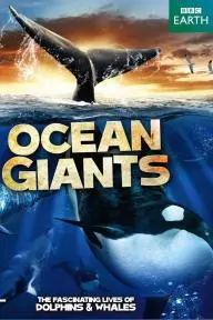 Ocean Giants_peliplat