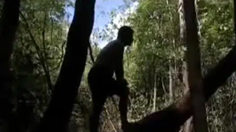 Eels and jungle animals in the Amazon - BBC wildlife