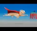 DC:  League of Super-Pets - Teaser (DC FanDome)_peliplat