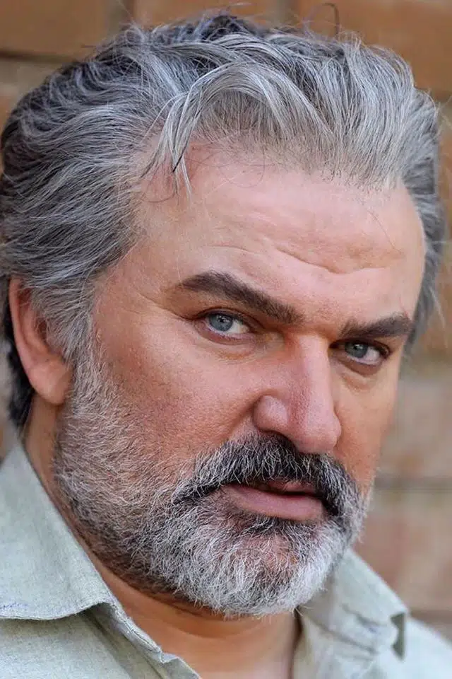 Mehdi Soltani