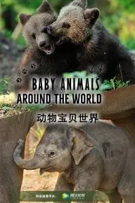 Baby Animals Around the World_peliplat