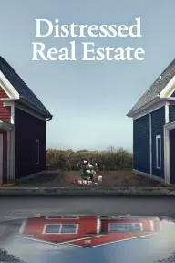 Distressed Real Estate_peliplat
