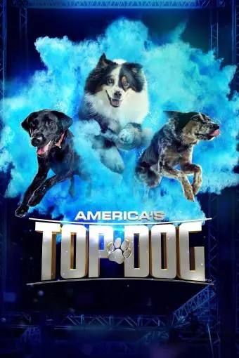 America's Top Dog_peliplat