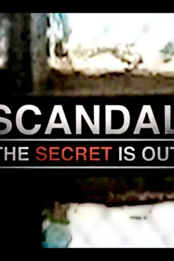 Scandal: The Secret Is Out_peliplat