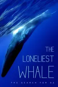 The Loneliest Whale: The Search for 52_peliplat