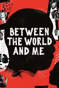 Between the World and Me_peliplat