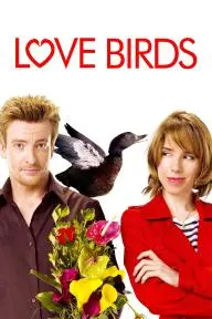 Love Birds_peliplat