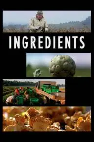 Ingredients_peliplat