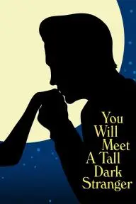 You Will Meet a Tall Dark Stranger_peliplat