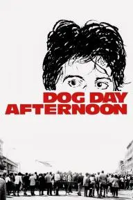 Dog Day Afternoon_peliplat
