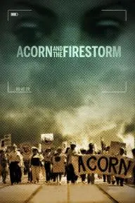 ACORN and the Firestorm_peliplat