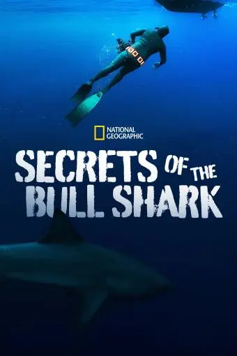 Secrets of the Bull Shark_peliplat