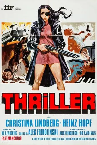 Thriller: A Cruel Picture_peliplat