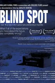 Blind Spot_peliplat