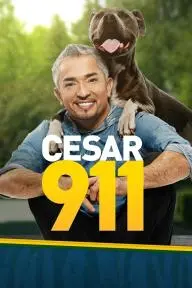 Cesar 911_peliplat