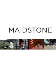 Maidstone_peliplat