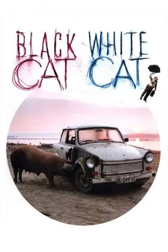 Black Cat, White Cat_peliplat