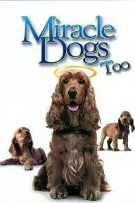 Miracle Dogs Too_peliplat