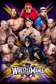 WrestleMania XXX_peliplat