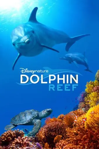 Dolphin Reef_peliplat