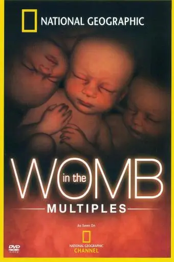 In the Womb: Multiples_peliplat