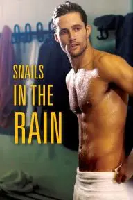 Snails in the Rain_peliplat
