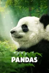 Pandas_peliplat