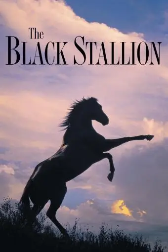 The Black Stallion_peliplat